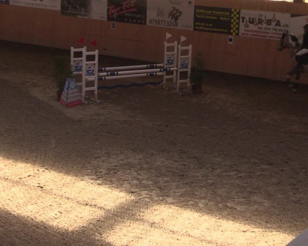 Reitturnier Fehraltorf 2025