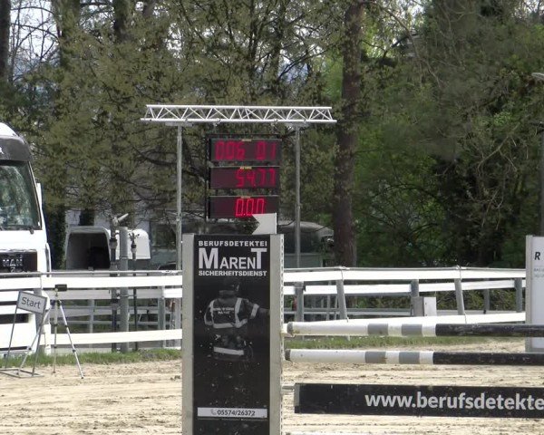 Reitturnier Bregenz 2025