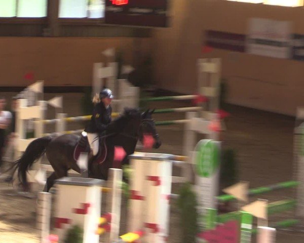 Reitturnier Fehraltorf 2025