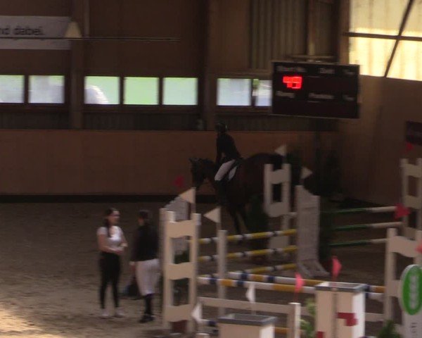 Reitturnier Fehraltorf 2025