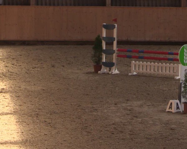 Reitturnier Fehraltorf 2025