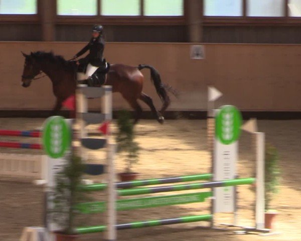 Reitturnier Fehraltorf 2025