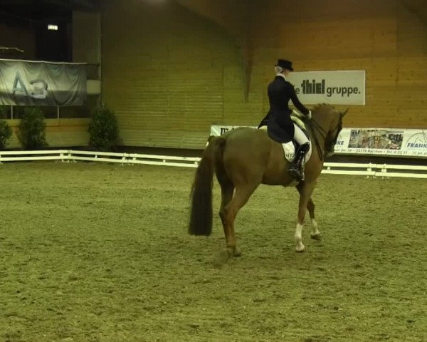 Paderborn 2013