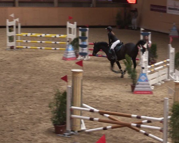 Reitturnier Fehraltorf 2025