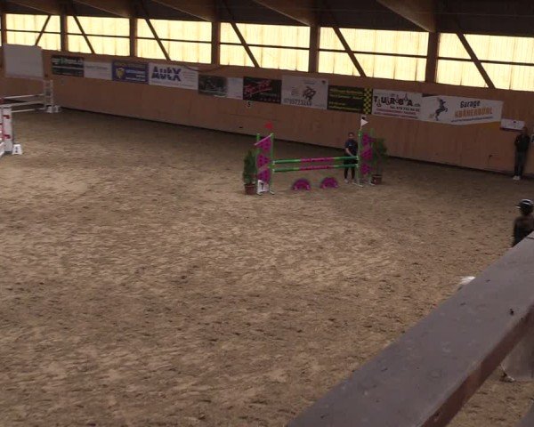 Reitturnier Fehraltorf 2025