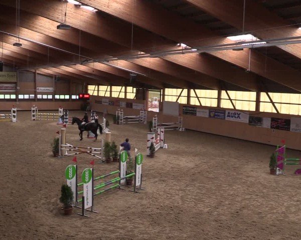 Reitturnier Fehraltorf 2025