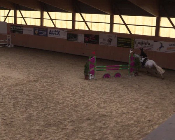 Reitturnier Fehraltorf 2025
