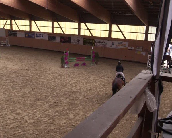 Reitturnier Fehraltorf 2025