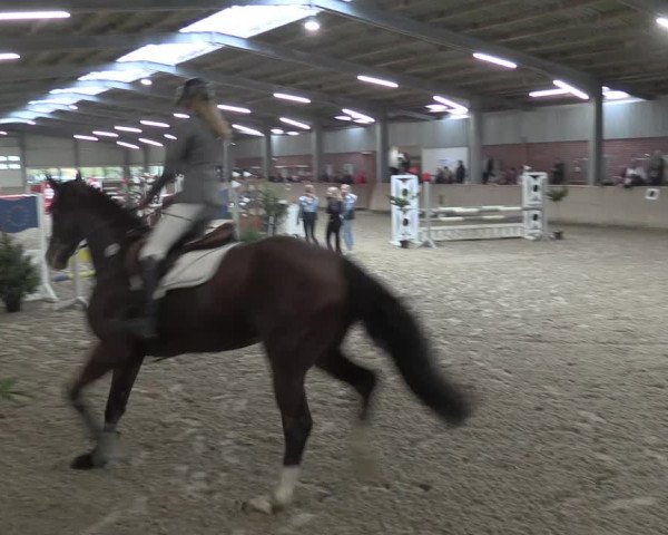 Reitturnier Ahaus 2021