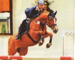 dressage horse Expos Fortuna (Hanoverian, 2004, from For Expo 2000)