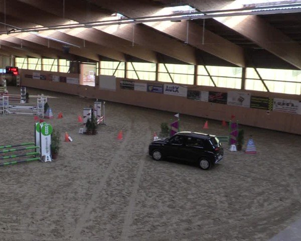 Reitturnier Fehraltorf 2025