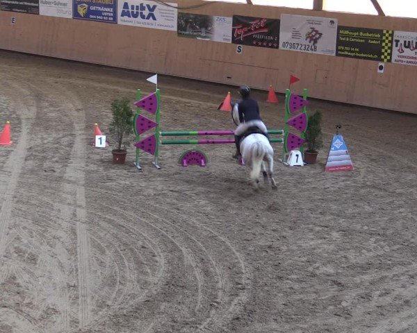Reitturnier Fehraltorf 2025