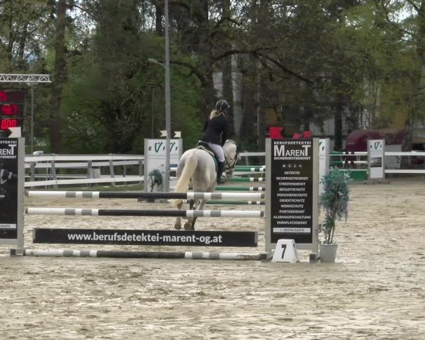 Reitturnier Bregenz 2025