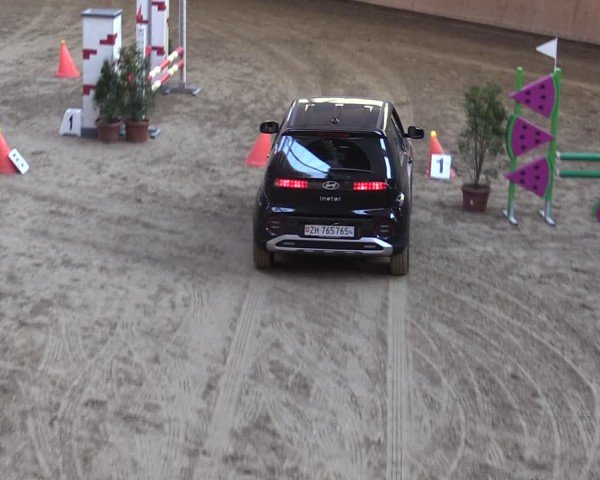 Reitturnier Fehraltorf 2025