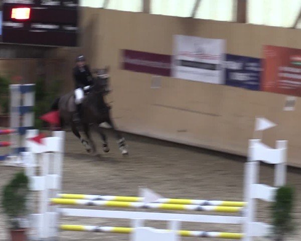 Reitturnier Fehraltorf 2025