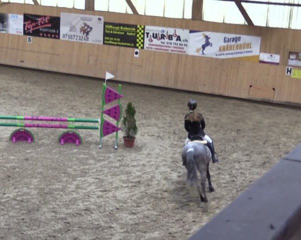 Reitturnier Fehraltorf 2025