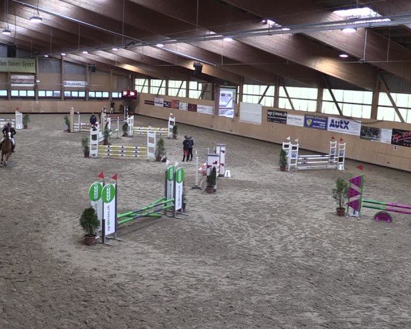 Reitturnier Fehraltorf 2025