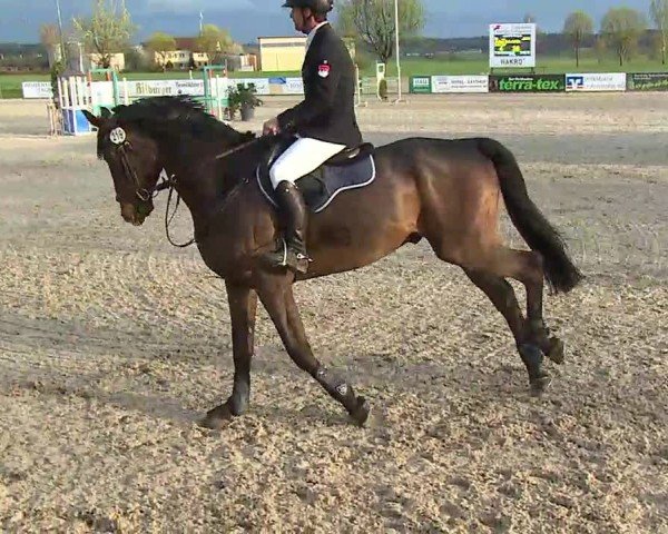 Reitturnier Rot am See- Musdorf 2025