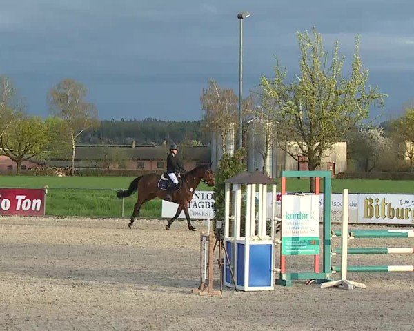 Reitturnier Rot am See- Musdorf 2025