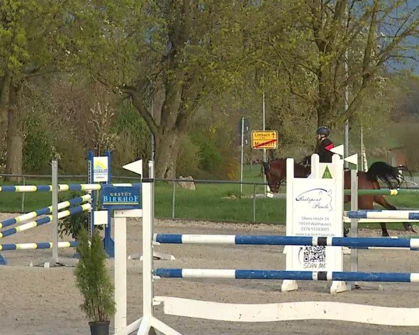 Reitturnier Rot am See- Musdorf 2025