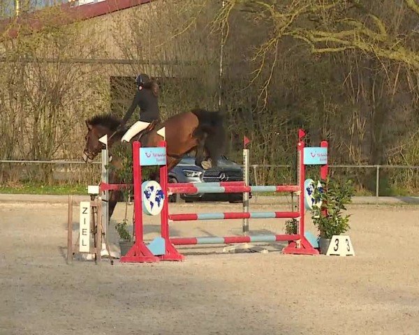 Reitturnier Rot am See- Musdorf 2025