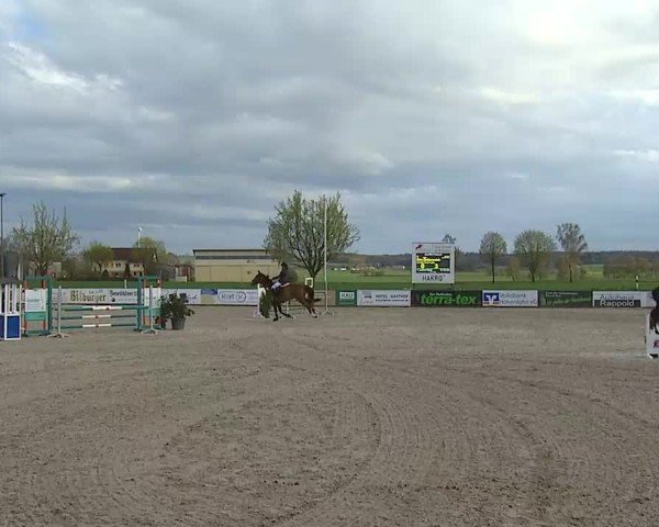 Reitturnier Rot am See- Musdorf 2025
