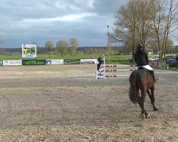 Reitturnier Rot am See- Musdorf 2025