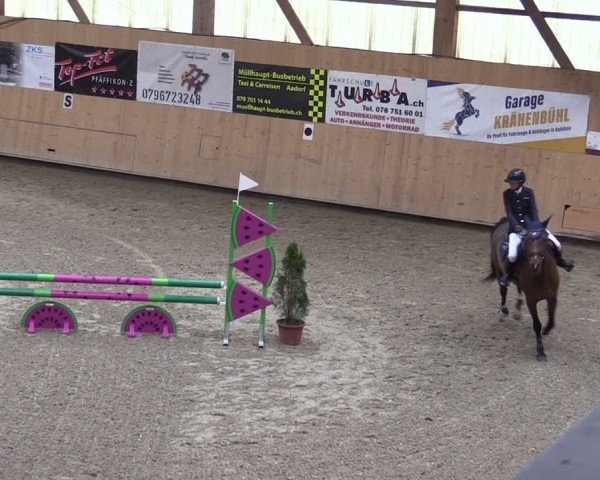 Reitturnier Fehraltorf 2025