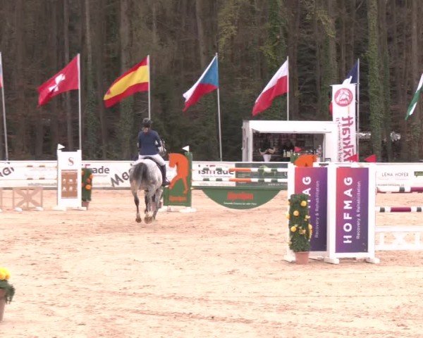 Reitturnier Ranshofen - Braunau am Inn 2025