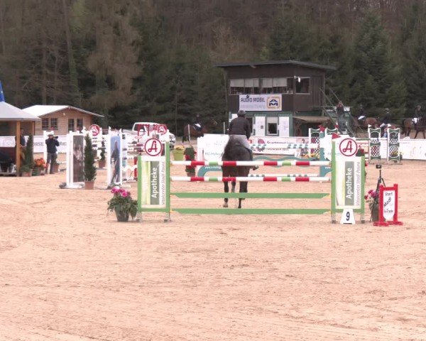 Reitturnier Ranshofen - Braunau am Inn 2025