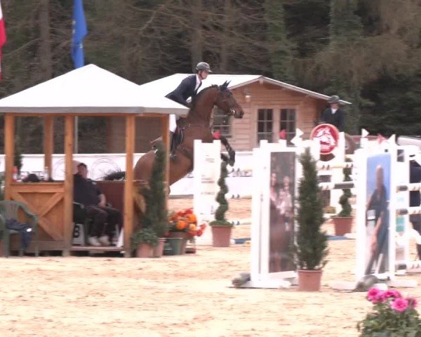Reitturnier Ranshofen - Braunau am Inn 2025