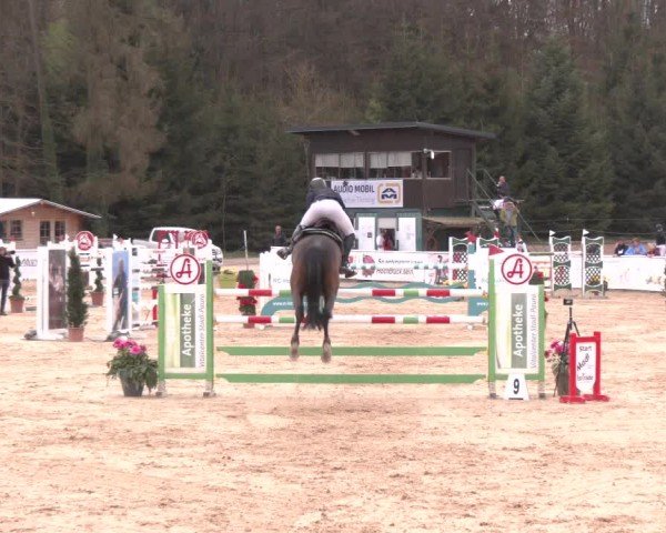 Reitturnier Ranshofen - Braunau am Inn 2025