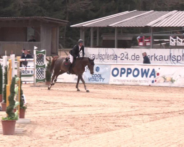 Reitturnier Ranshofen - Braunau am Inn 2025