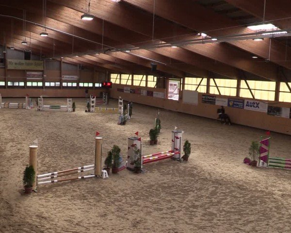 Reitturnier Fehraltorf 2025