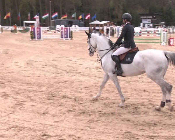Reitturnier Ranshofen - Braunau am Inn 2025