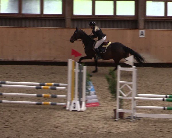 Reitturnier Fehraltorf 2025