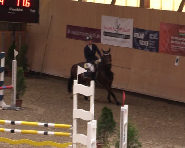 Reitturnier Fehraltorf 2025