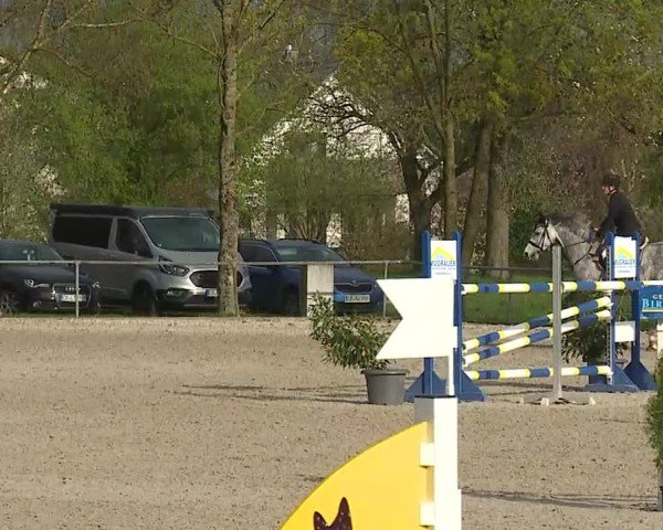 Reitturnier Rot am See- Musdorf 2025