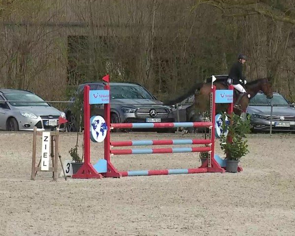 Reitturnier Rot am See- Musdorf 2025