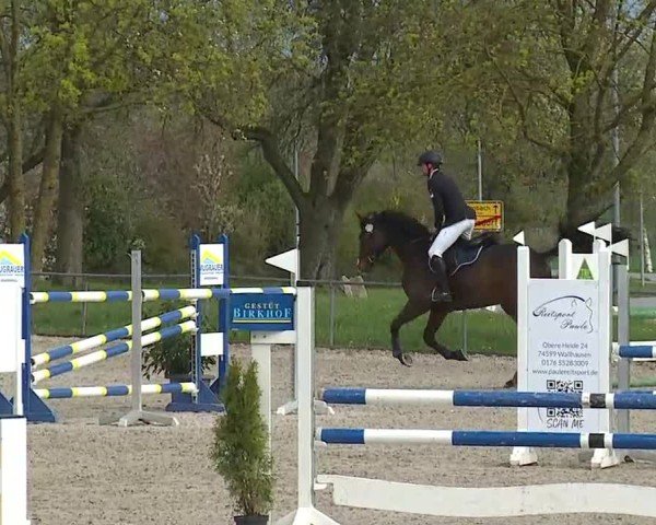 Reitturnier Rot am See- Musdorf 2025