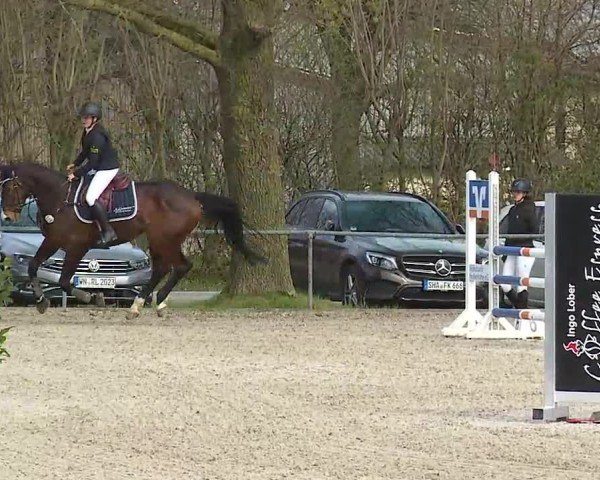 Reitturnier Rot am See- Musdorf 2025