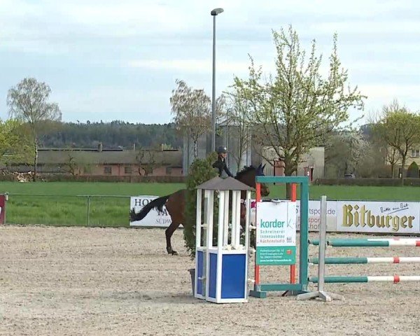 Reitturnier Rot am See- Musdorf 2025