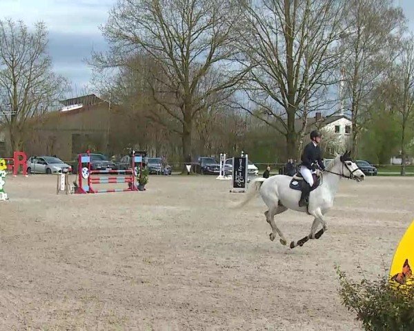 Reitturnier Rot am See- Musdorf 2025