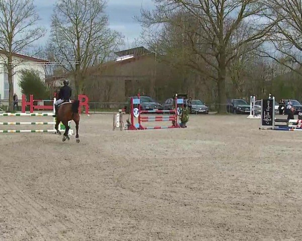Reitturnier Rot am See- Musdorf 2025