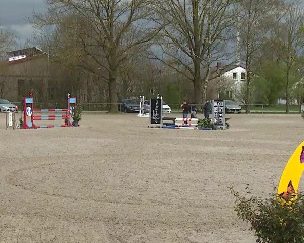 Reitturnier Rot am See- Musdorf 2025