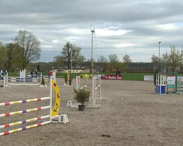 Reitturnier Rot am See- Musdorf 2025