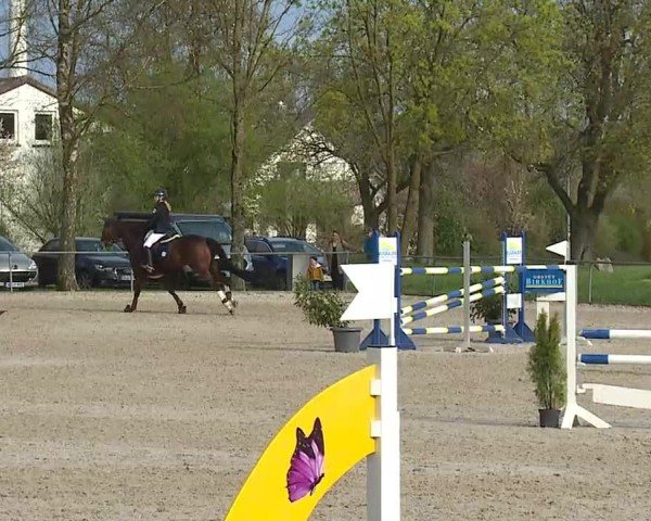 Reitturnier Rot am See- Musdorf 2025