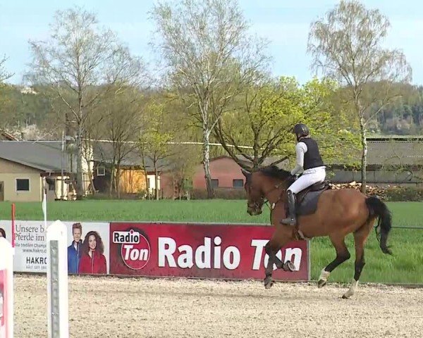 Reitturnier Rot am See- Musdorf 2025