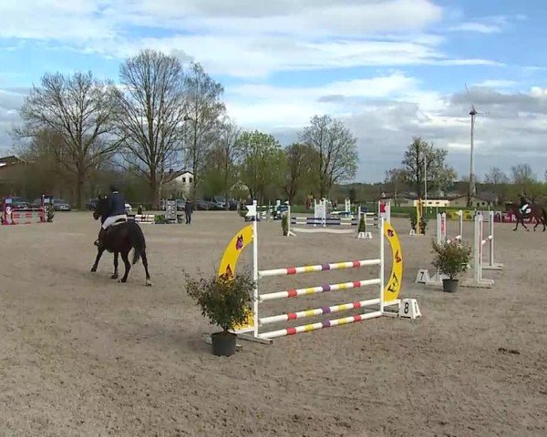 Reitturnier Rot am See- Musdorf 2025