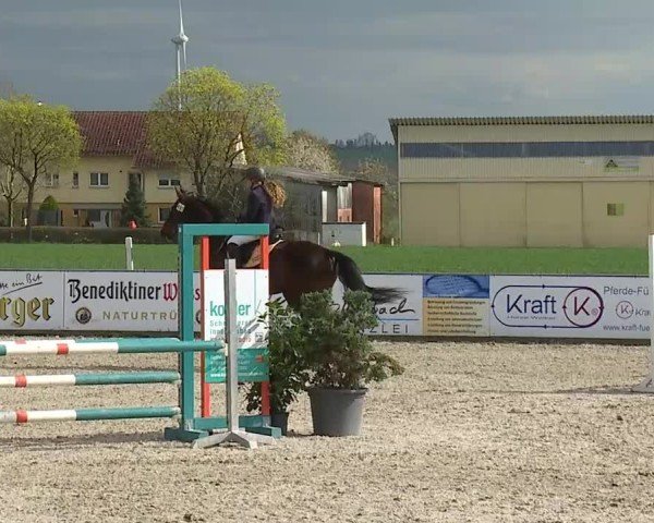 Reitturnier Rot am See- Musdorf 2025